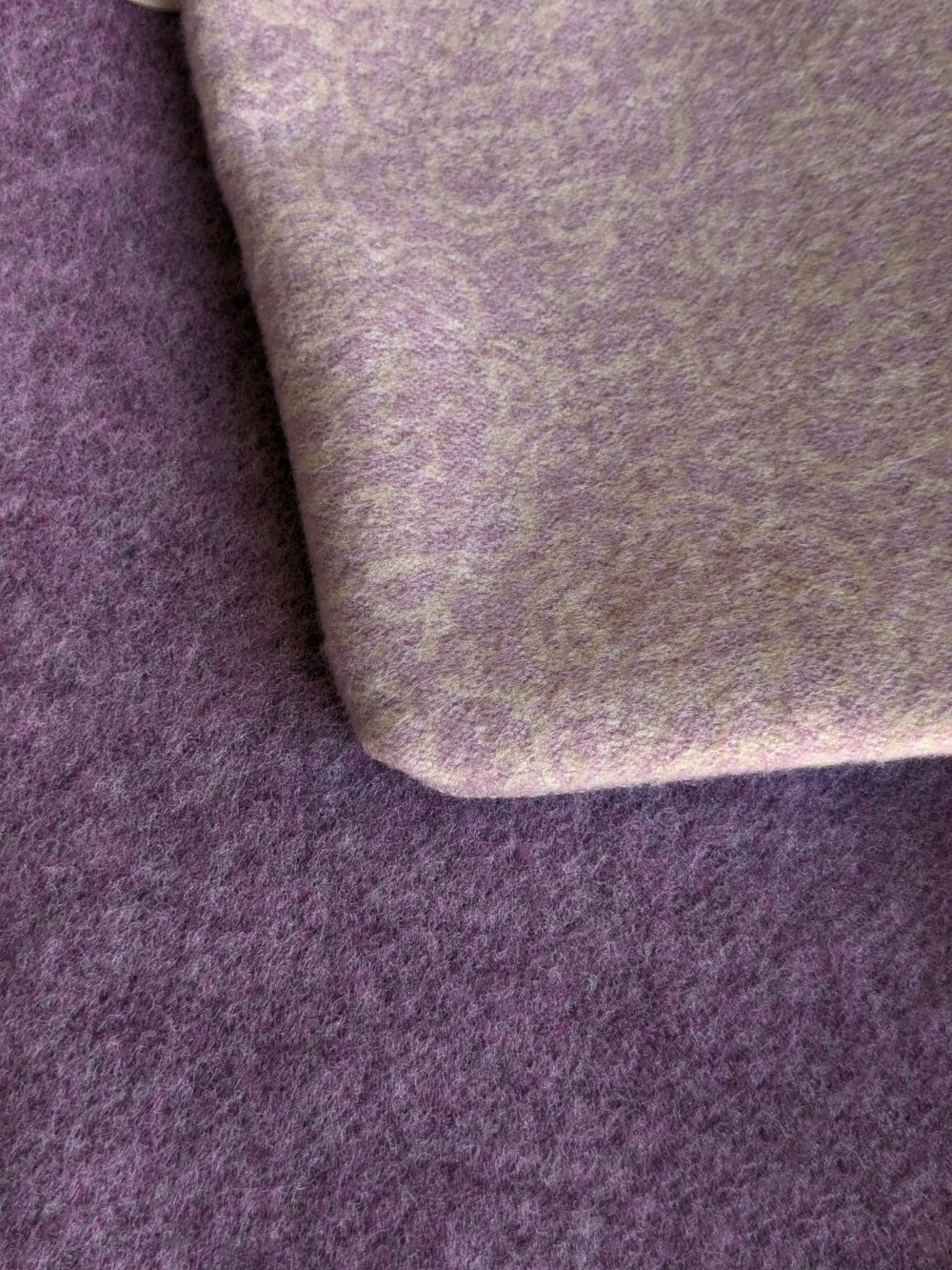 cuello-rosa-6 Cuello Rosa Persa detalle